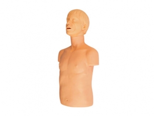 ZMJY/CPR-017  成人氣道梗塞和CPR模型